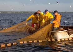 Латвия в Еврокомиссии пожалуется на Россию, которая оставляет Балтийское море без рыбы 