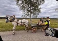 FOTO: policija pirms Līgo svētkiem pārbauda arī zirgu pajūgu vadītājus