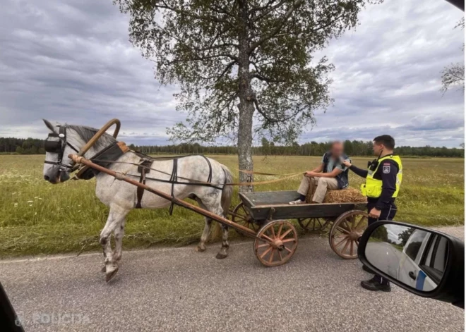 Перед праздниками полиция останавливает и проверяет всех - даже тех, кто управляет повозками
