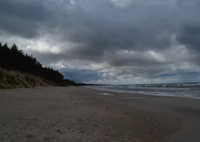 Синоптики объявили желтое предупреждение из-за сильного ветра в Янову ночь