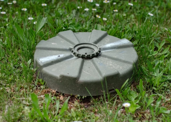 Латвия помогла разрушить международную инициативу, которую поддерживала покойная принцесса Диана