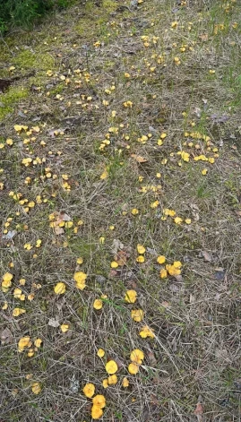 Вот же повезло человеку!