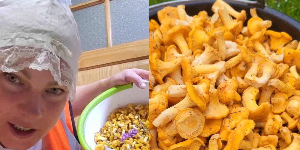 Magone dalās, cik daudz gaileņu salasījusi.