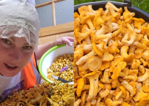 Magone dalās, cik daudz gaileņu salasījusi.