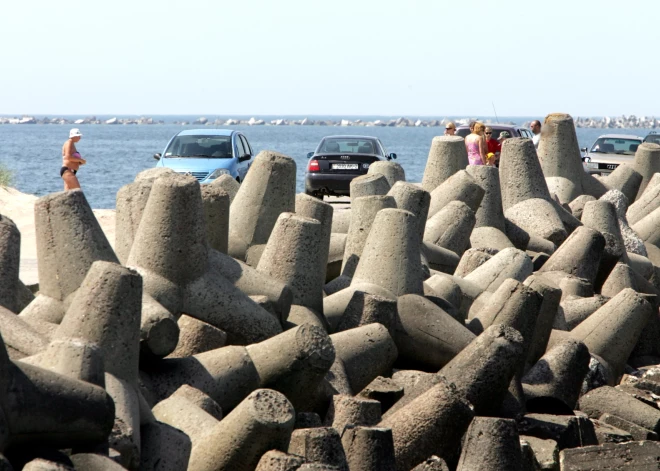 Liepājas pludmalē izskalots liels skaits beigtu putnu
