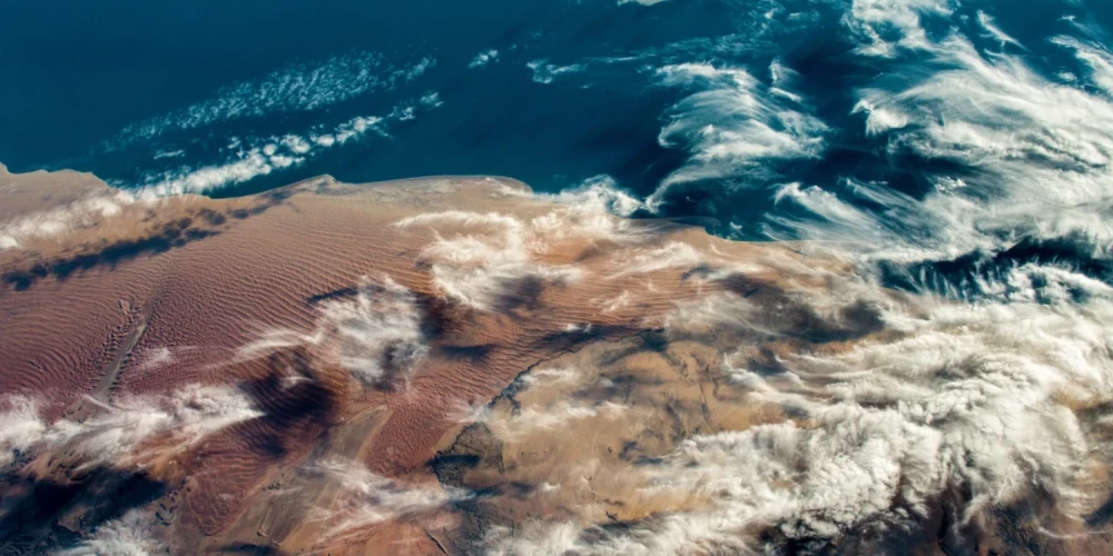 Иллюстративное фото.