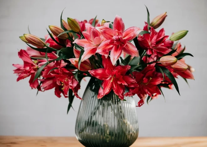 Šonedēļ populārākie vārdi – Uldis un Mareks