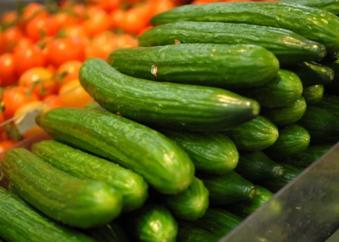 В магазине Getliņi Eko можно купить ароматные, спелые томаты разных сортов (периодически в ограниченном количестве), а также огурцы, в том числе и так называемые "нестандартные" - по сниженным ценам.