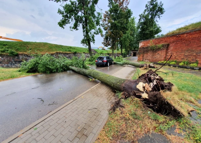 Vēja lauzti koki vietām bloķējuši satiksmi, bet dažviet uzkrituši uz automašīnām