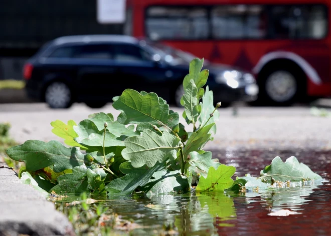 Spēcīga vēja dēļ visā Latvijā iespējami elektroapgādes traucējumi, brīdina "Sadales tīkls"