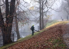 Rīgā aicina aizliegt benzīna lapu pūtējus darba dienu rītos