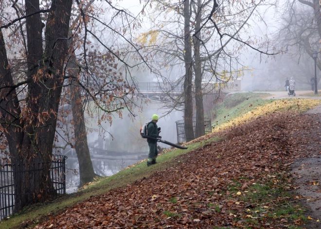 Rīgā aicina aizliegt benzīna lapu pūtējus darba dienu rītos