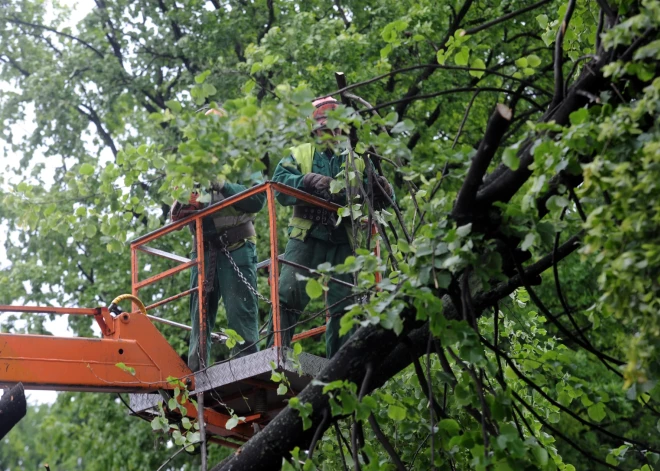 Vēja brāzmas izraisījušas traucējumus elektrotīklā – bez elektrības palikuši ap 5500 cilvēku
