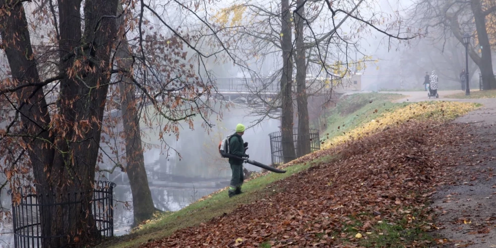 Собирают подписи за запрет использования бензиновых воздуходувок в Риге по утрам в будние дни.