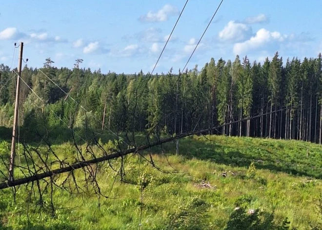 "Sadales tīkls" nakts laikā novērsis 206 brāzmainā vēja radītus elektrotīkla bojājumus