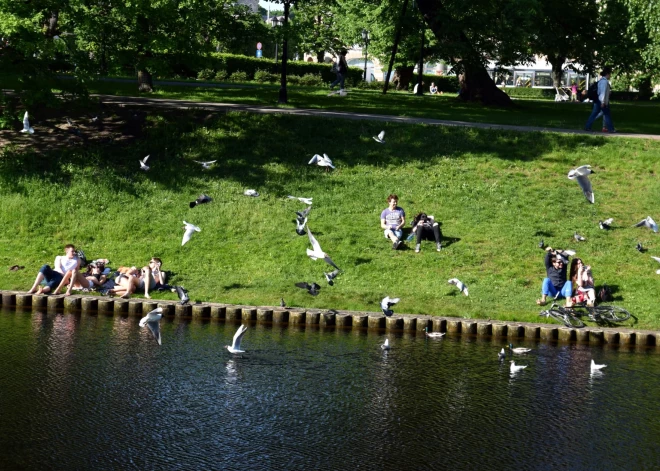 В первый день июля ветер стихнет, температура поднимется