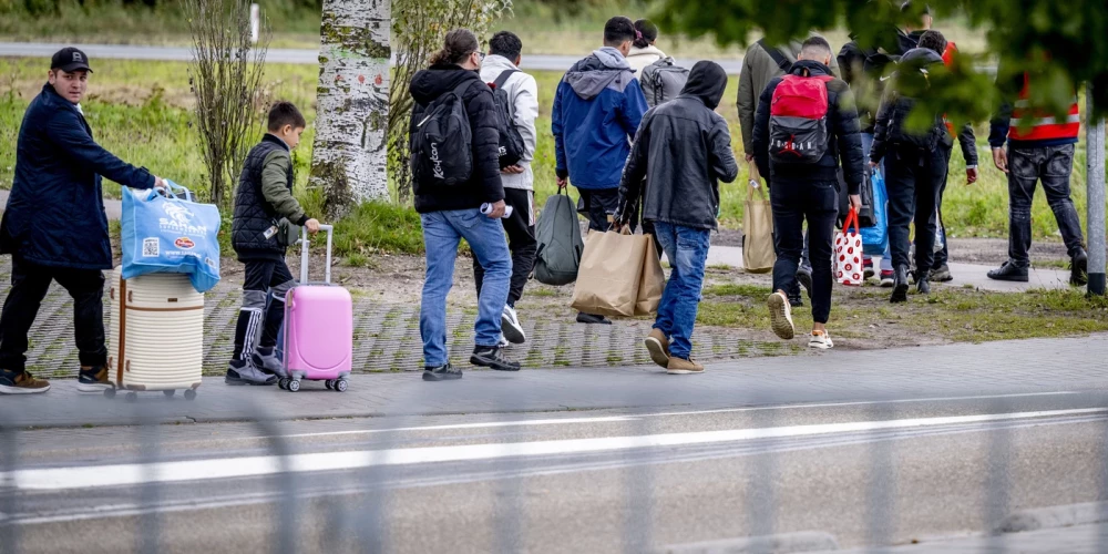 AsylSaskaņā ar statistikas datiem bēgļu vidējais vecums ir nepilni 32 gadi, un vidēji Vācijā tie dzīvo 6,5 gadus. Kamēr ukraiņu vidējais vecums ir 35 gadi, sīriešu un afgāņu vidējais vecums ir attiecīgi 28 un 27 gadi