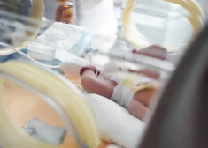 Rīgā no jūlija palielina jaundzimušo pabalstus: par dvīņiem līdz 6000 eiro, trīnīšiem – 7500
