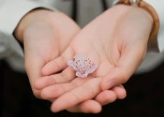  Cik Latvijā maksā trīs bērnu mammas dzīvība? 400 tūkstoši eiro, tāda ir onkoloģisko zāļu cena