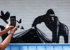 Latvijā pirmo reizi būs skatāma pasaulslavenajam māksliniekam Banksy veltīta Izstāde