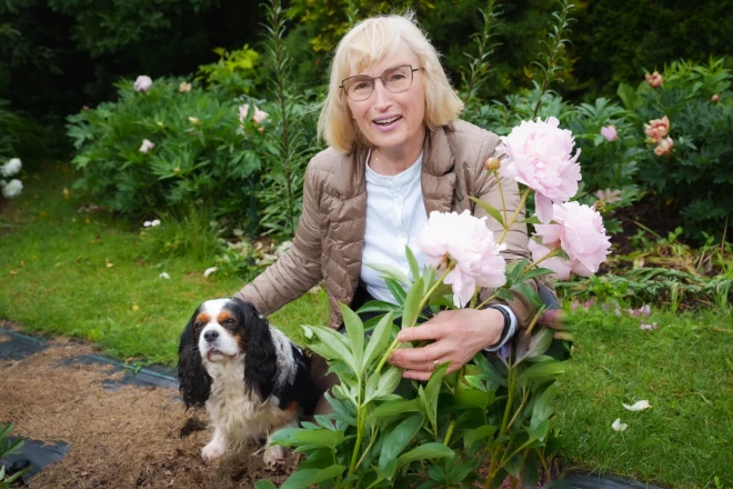Četrkājainais mīlulis, astoņus gadus vecais Grāfs, allaž pa dārzu rosās kopā ar saimnieci. Ja dobe ir svaigi izravēta, Grāfam tajā patīk atlaisties.