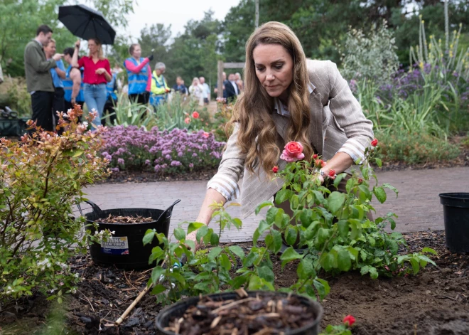 "Ты как бы надеваешь маску храбрости": принцесса Кэтрин посадила розу и разоткровенничалась о лечении от рака