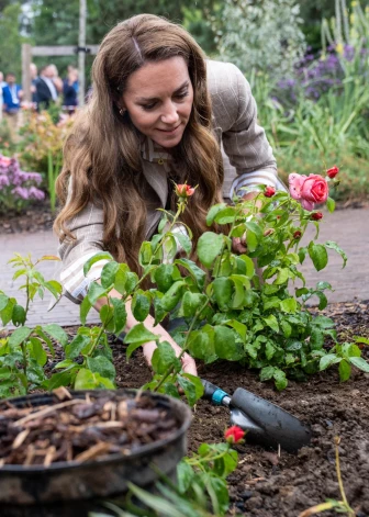 Velsas princese Ketrīna Kolčesteras slimnīcas Labklājības dārzā iestādīja savā vārdā nosauktu rozi “Catherine’s Rose”.