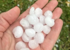 FOTO: Valmieras novadā pārsteidz lielgraudu krusa