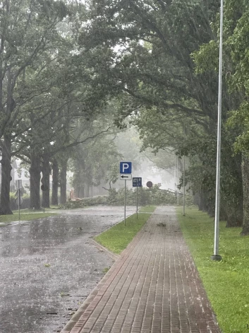 Vētras postījumi.