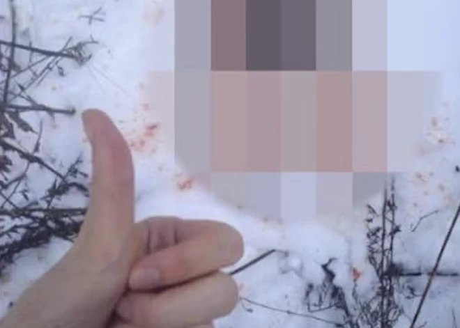 Jaunietis, kurš nodūra kucēnu un dižojās ar to sociālajos tīklos, saņem "maigu" sodu