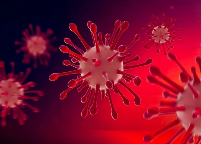 В Европе обнаружили новый вид коронавируса. Он вызывает один ярко выраженный симптом