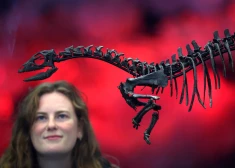 Britu zinātnieki atklājuši vēl nezināmu dinozauru sugu