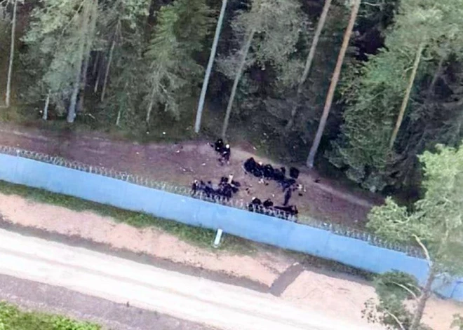 Robežsargi piektdien novērsuši 18 personu mēģinājumu nelikumīgi iekļūt Latvijā