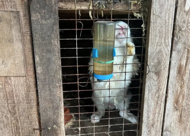 "Esmu bijusi daudz “šausmu vietās”, bet šis ir kaut kas…": Ķekavas mini zoo šokētā apmeklētāja publicē fotogrāfijas un video