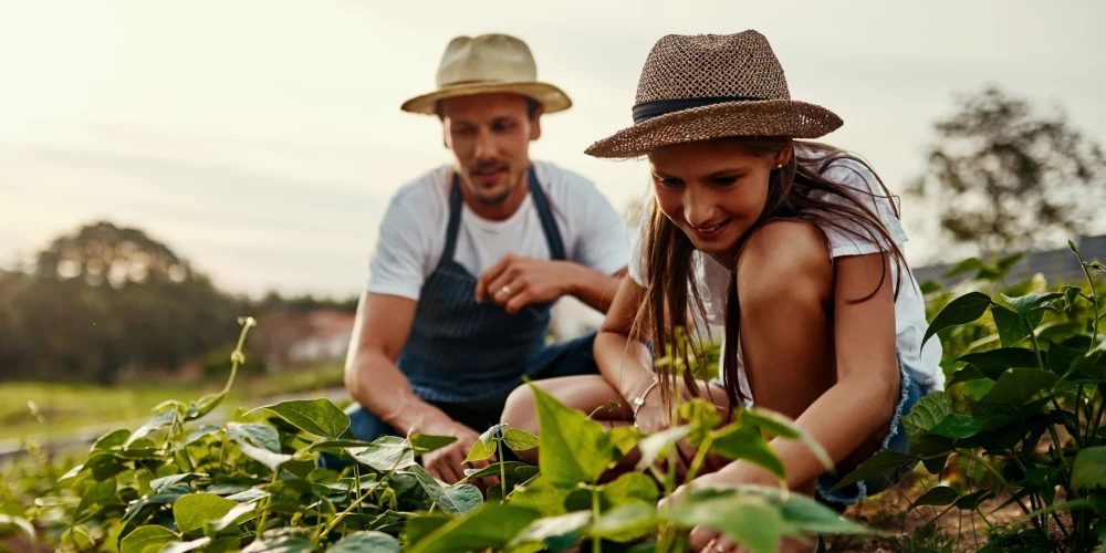 Иллюстративное фото.