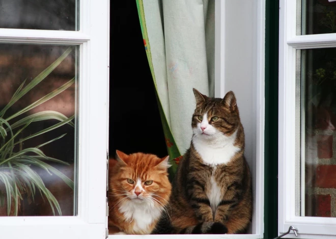 “Parāds seko dzīvoklim” – kā likuma izmaiņas ietekmēs mājokļa pircējus