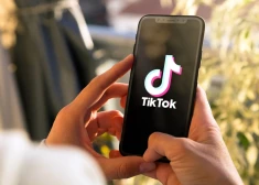 TikTok создает новое приложение для американских пользователей из-за планируемой продажи