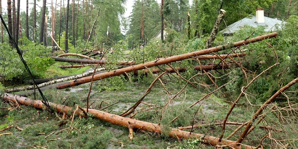 Знал бы где упало...
