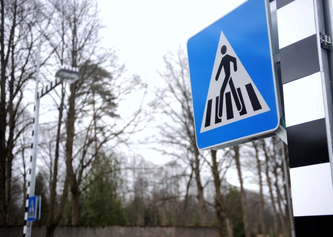 Одна сбила, другой переехал: автоводители, задавившие на пешеходном переходе женщину, получили условные сроки