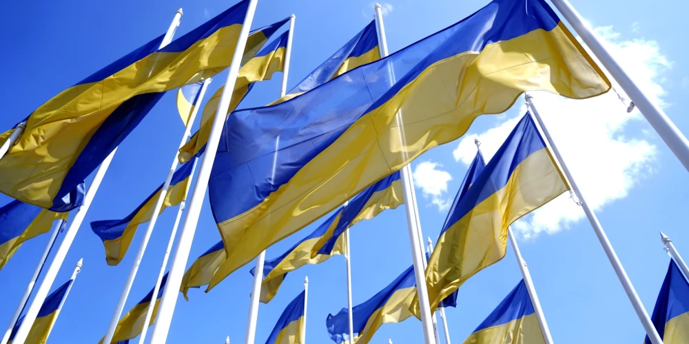 Valsts amatpersonu deklarāciju datu bāze liecina, ka Piko sācis strādāt 2003. gada augustā toreizējā Ventspils pilsētas un rajona policijas pārvaldē par iecirkņa inspektoru un beidzis darbu inspektora amatā pērn 4. jūnijā.