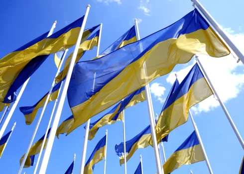 Valsts amatpersonu deklarāciju datu bāze liecina, ka Piko sācis strādāt 2003. gada augustā toreizējā Ventspils pilsētas un rajona policijas pārvaldē par iecirkņa inspektoru un beidzis darbu inspektora amatā pērn 4. jūnijā.