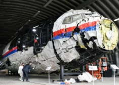 ЕСПЧ признал, что Россия виновна в крушении рейса Malaysia Airlines над востоком Украины в 2014 году