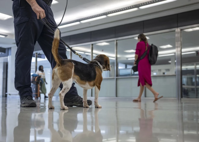 ASV lidostās atceļ 20 gadus senu prasību pasažieriem