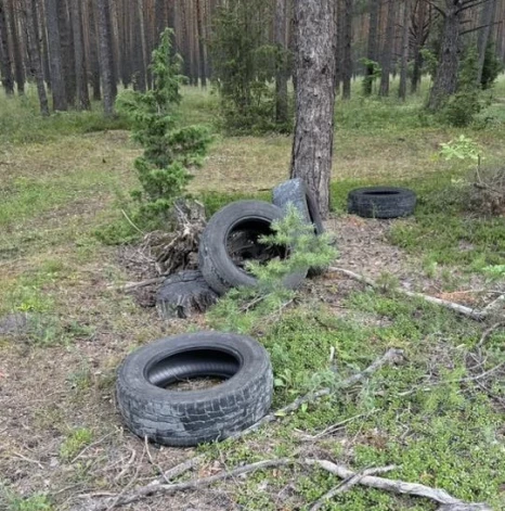 Mežā izmestās vecās autoriepas Ādažu novada Divezeros.