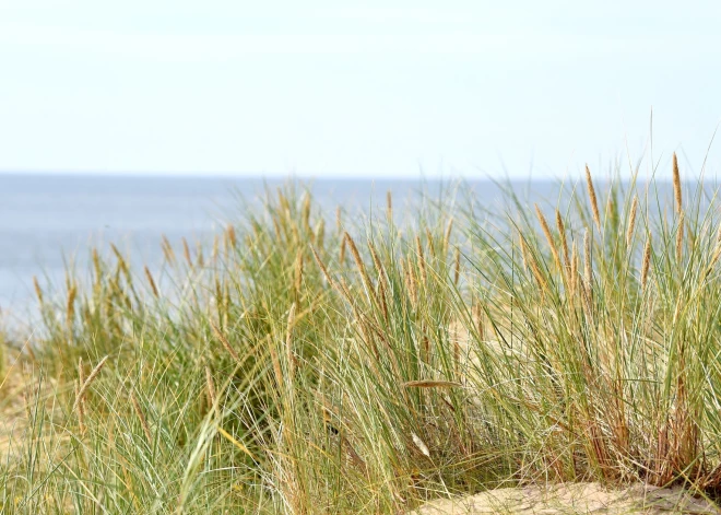 Daugavas pludmalē “Rumbula” atļauts peldēties