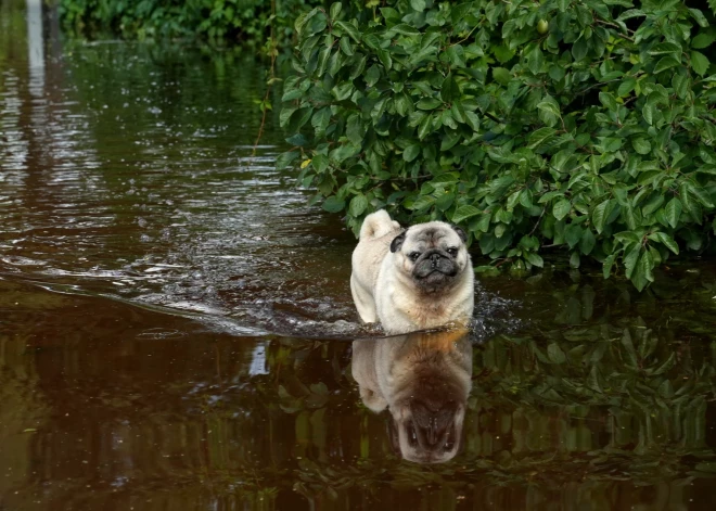 Plūdu dēļ slēgts ceļa posms Augšdaugavas novadā
