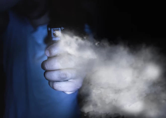 Ielaužas mājā, nozog akumulatoru un uzbrūk īpašniekam ar piparu gāzi – trīs jaunieši Rēzeknes novadā paveikuši vairākas zādzības