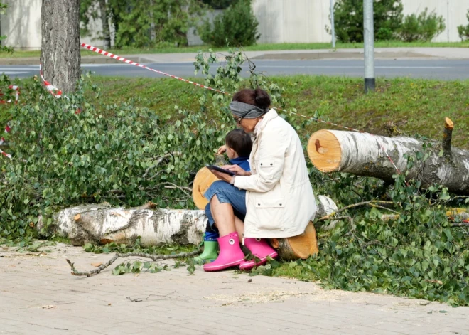 Спасатели активно работали над ликвидацией последствий грозы