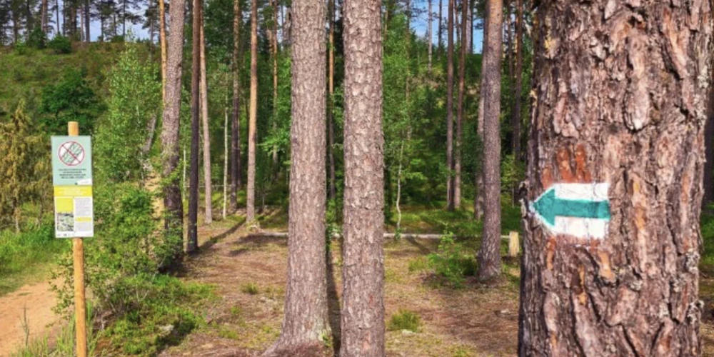 Lai atpūtnieki vēl ērtāk varētu sasniegt Zvirgzdes Balto kāpu, ir uzstādītas arī vairākas jaunas, no ozolkoka veidotas norādes zīmes.