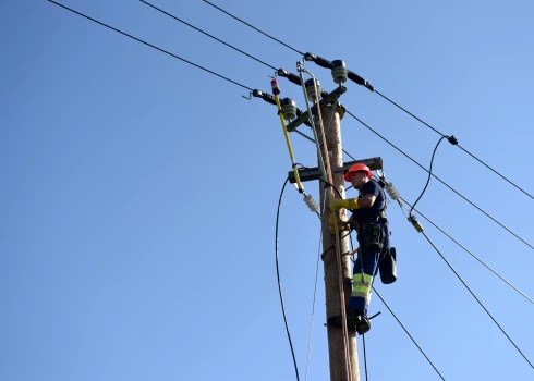 "Sadales tīkls" novērsis 241 stiprā vēja radīto elektrotīkla bojājumu.